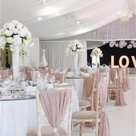 fwthumbBlush pink Chiffon Drop.jpg